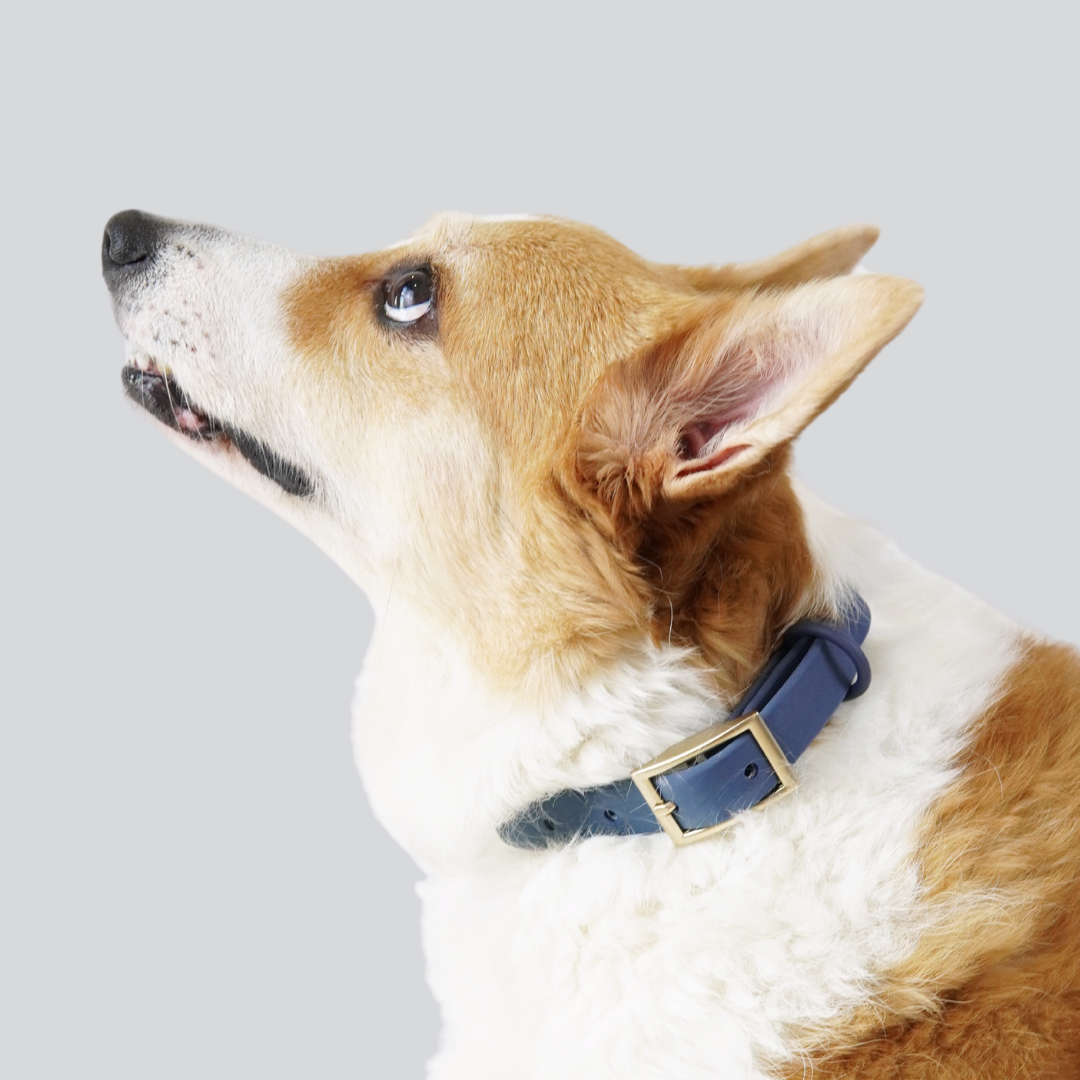 Lumo Waterproof Collar – Quick-drying | All-Weather | Durable | Strong