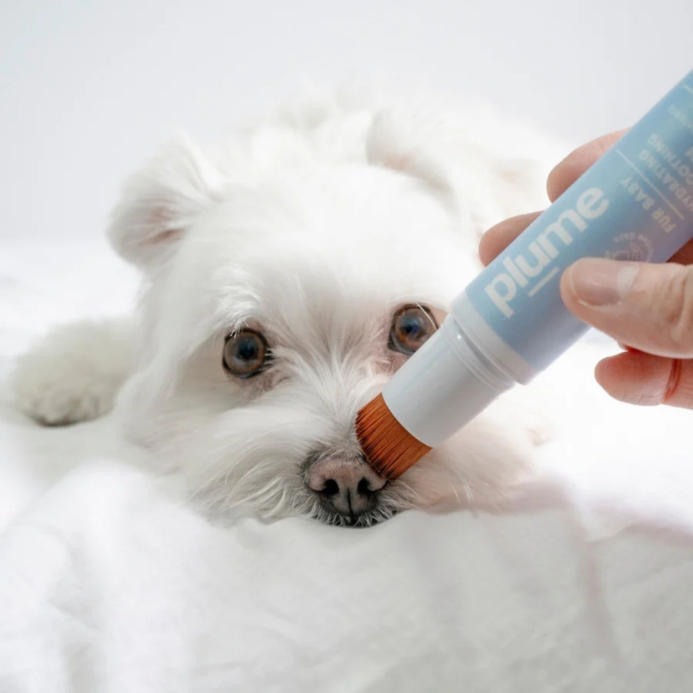 Plume Care Dog & Cat Hydrating Cream – Gentle Relief for Dry, Cracked, Itchy Paws, Elbows & Nose