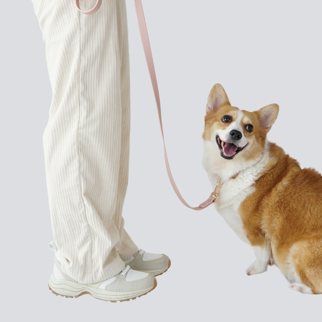 Lumo Waterproof Leash – Quick-drying | All-Weather | Durable | Strong