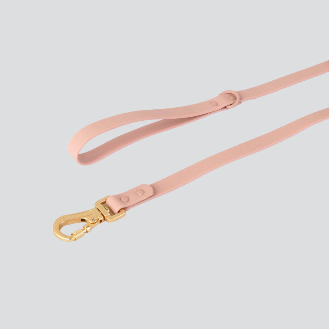 Lumo Waterproof Leash – Quick-drying | All-Weather | Durable | Strong