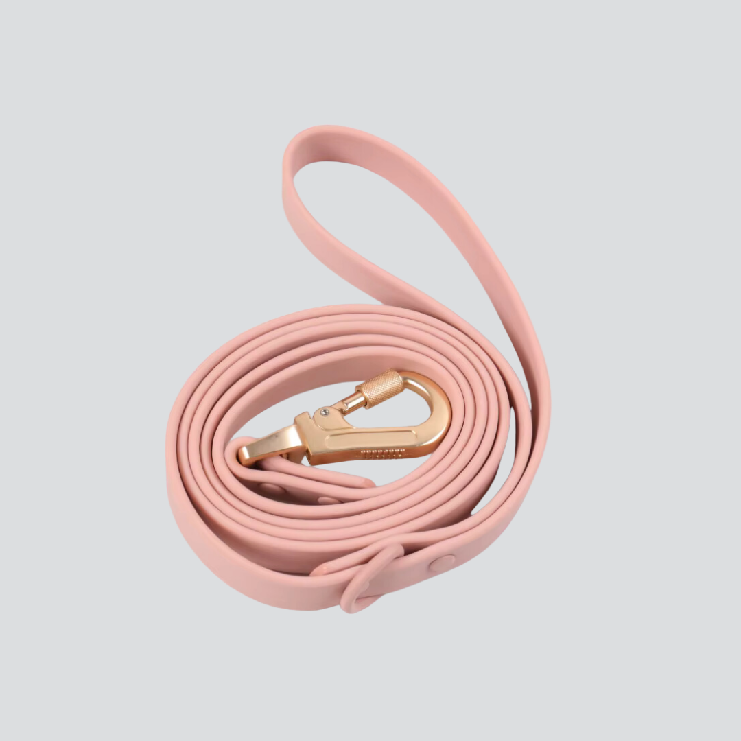 Lumo Waterproof Leash – Quick-drying | All-Weather | Durable | Strong