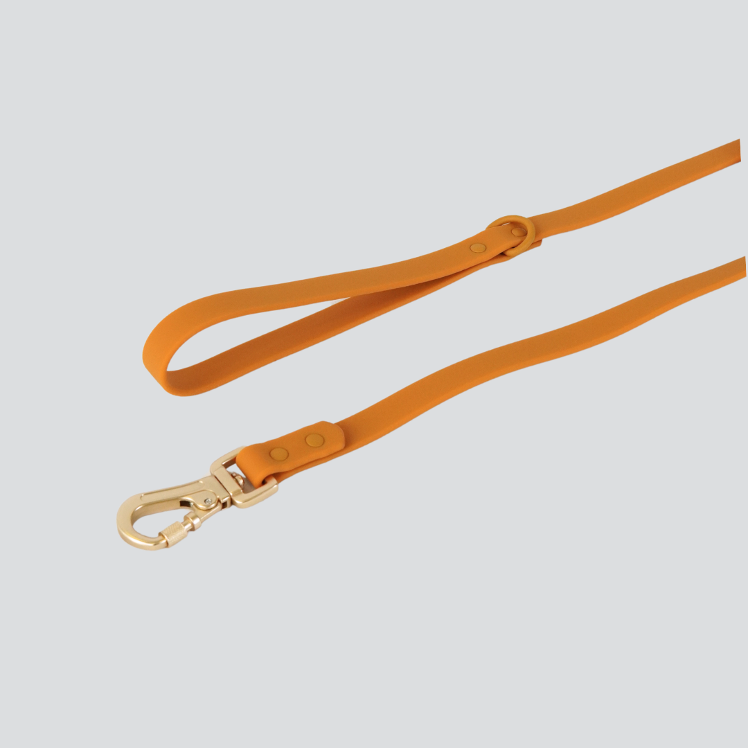 Lumo Waterproof Leash – Quick-drying | All-Weather | Durable | Strong