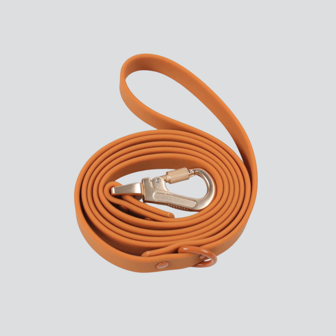 Lumo Waterproof Leash – Quick-drying | All-Weather | Durable | Strong