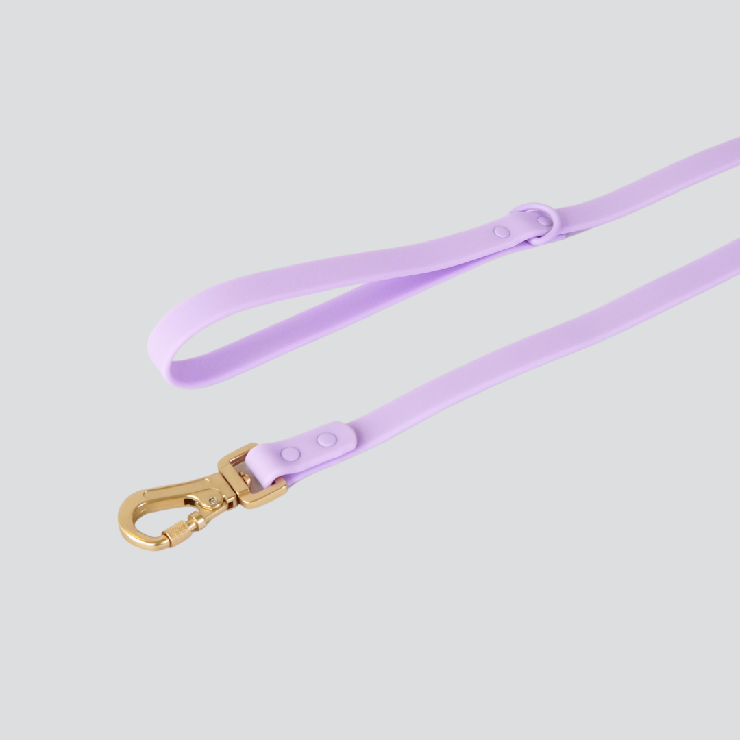 Lumo Waterproof Leash – Quick-drying | All-Weather | Durable | Strong