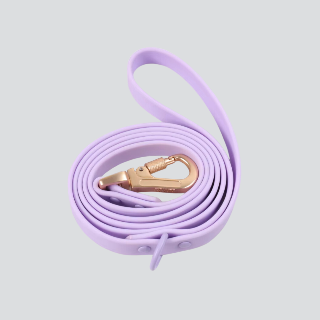 Lumo Waterproof Leash – Quick-drying | All-Weather | Durable | Strong