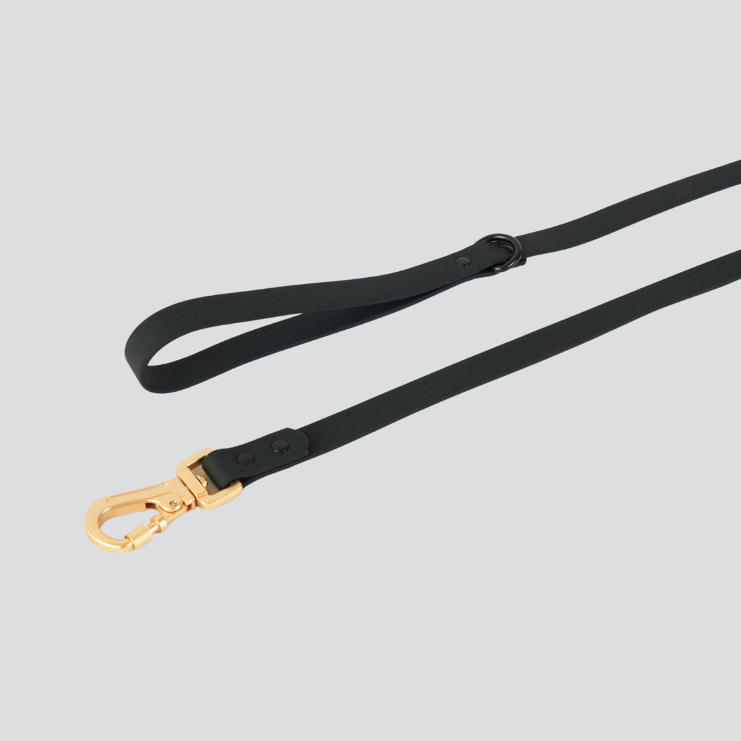 Lumo Waterproof Leash – Quick-drying | All-Weather | Durable | Strong