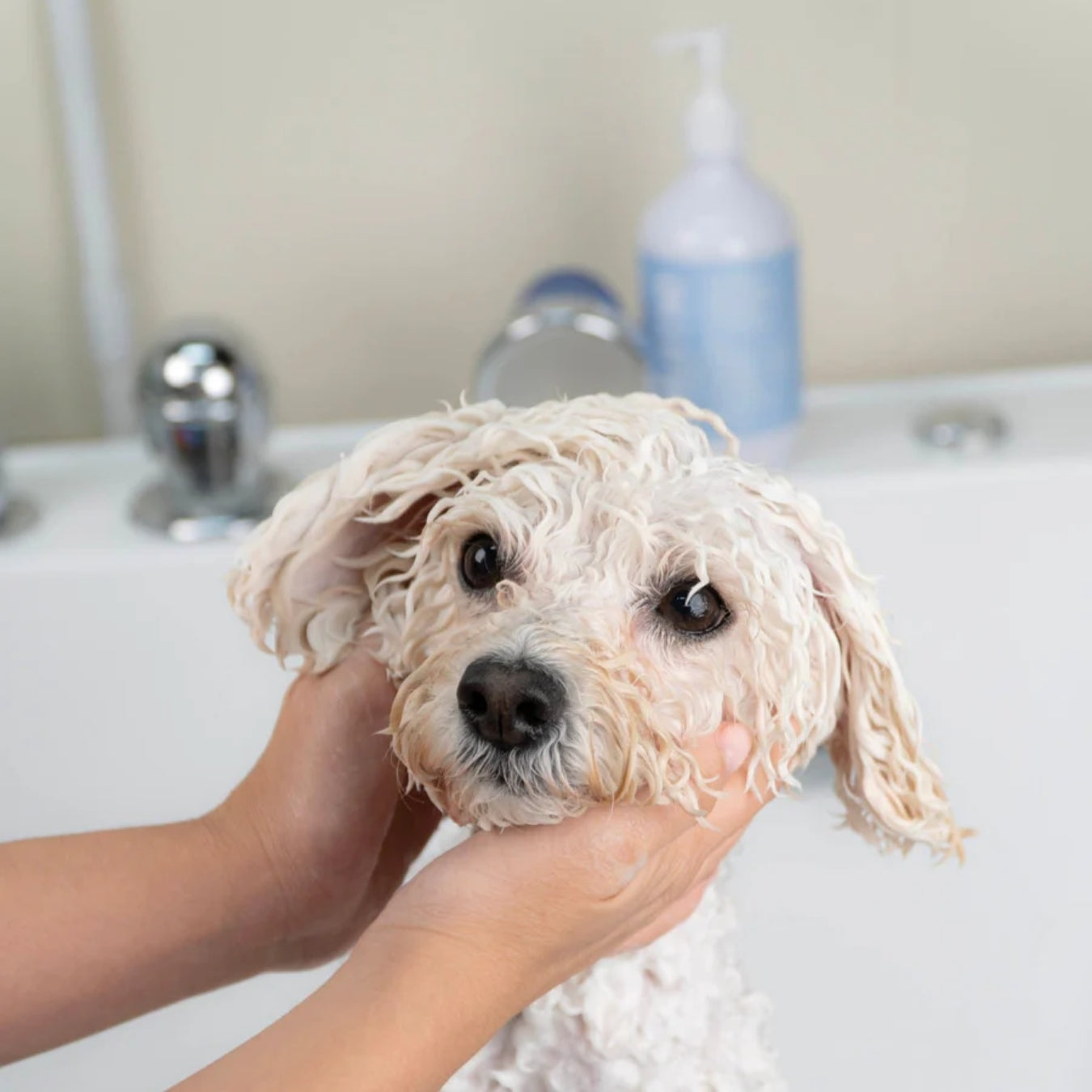Natural, Soothing & Nourishing Pet Shampoo for Sensitive Skin - Fragrance Free