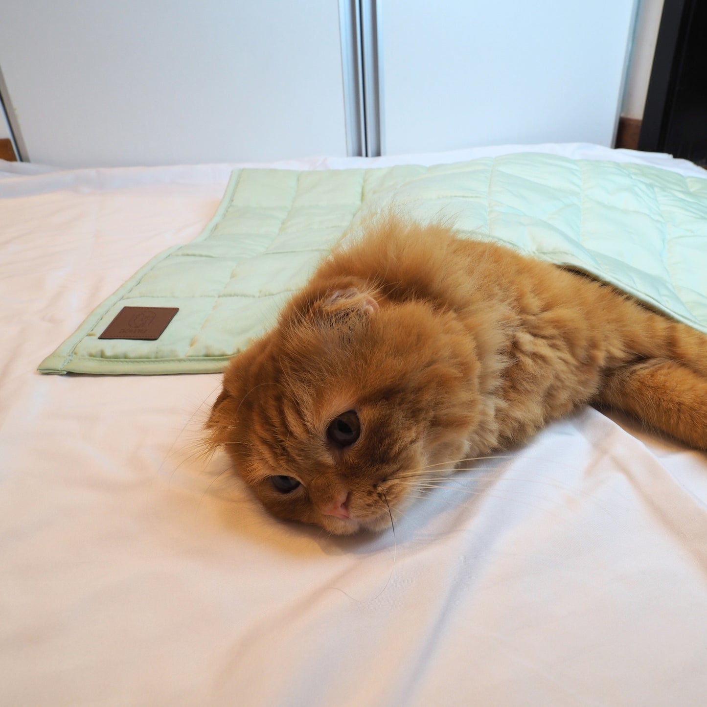 Yuen Bamboo Cooling Mat for Pets