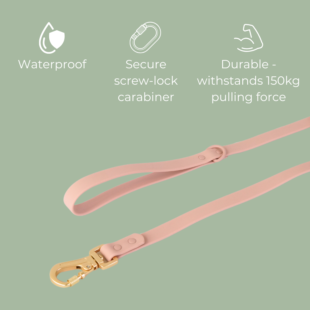 Lumo Waterproof Leash – Quick-drying | All-Weather | Durable | Strong