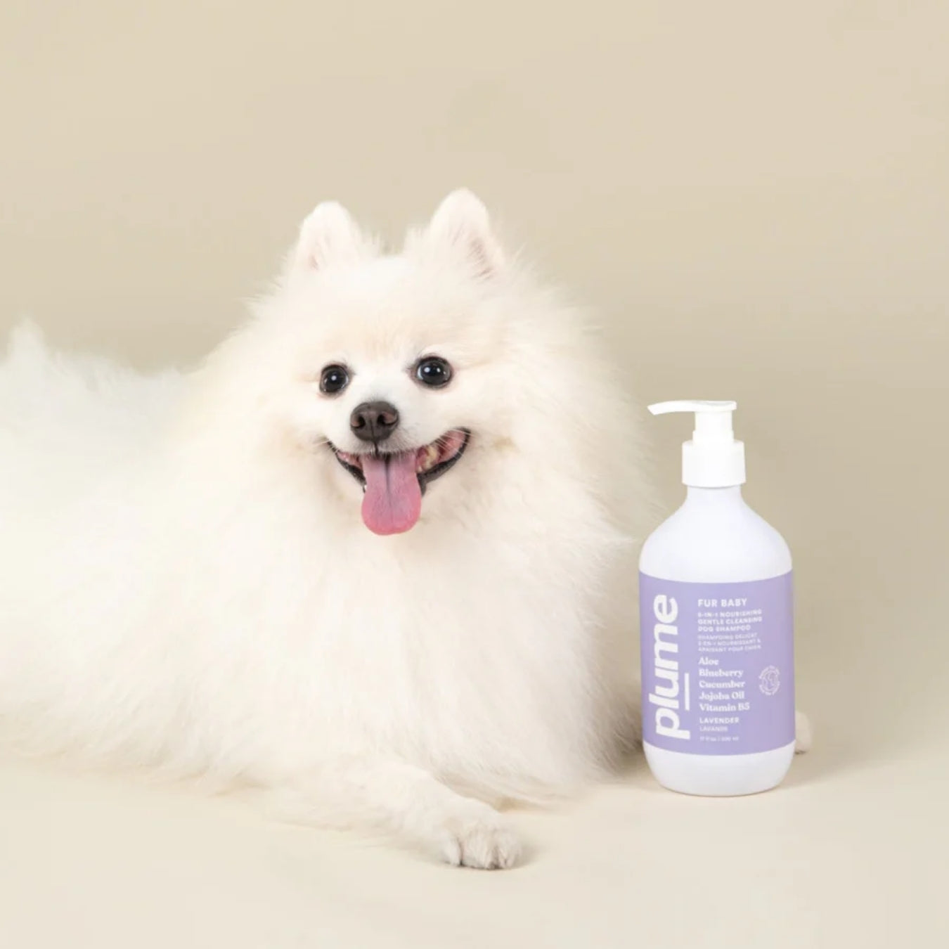 Plume Care Dog & Cat Shampoo – Lavender, Sensitive Skin, Natural, Soothing & Nourishing