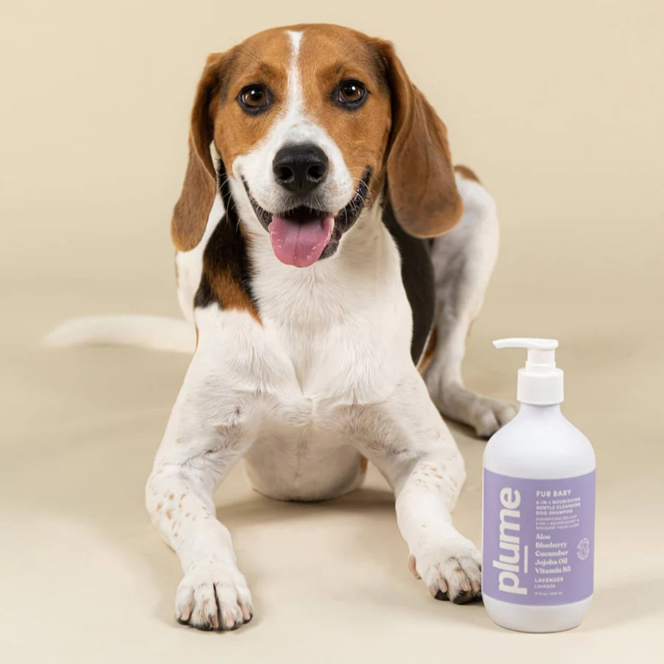 Plume Care Dog & Cat Shampoo – Lavender, Sensitive Skin, Natural, Soothing & Nourishing