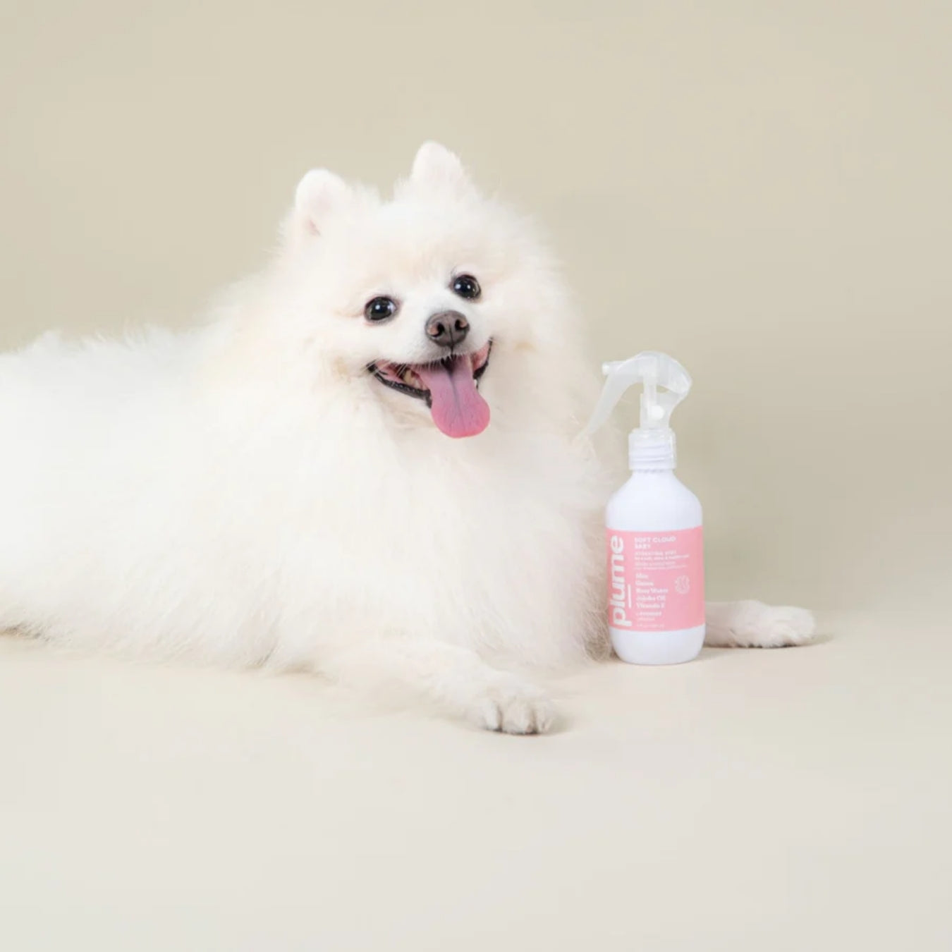 Plume Care Leave-In Conditioner Spray for Dogs & Cats – Sensitive Skin, Natural, Hydrating, Lavender & Rose Water