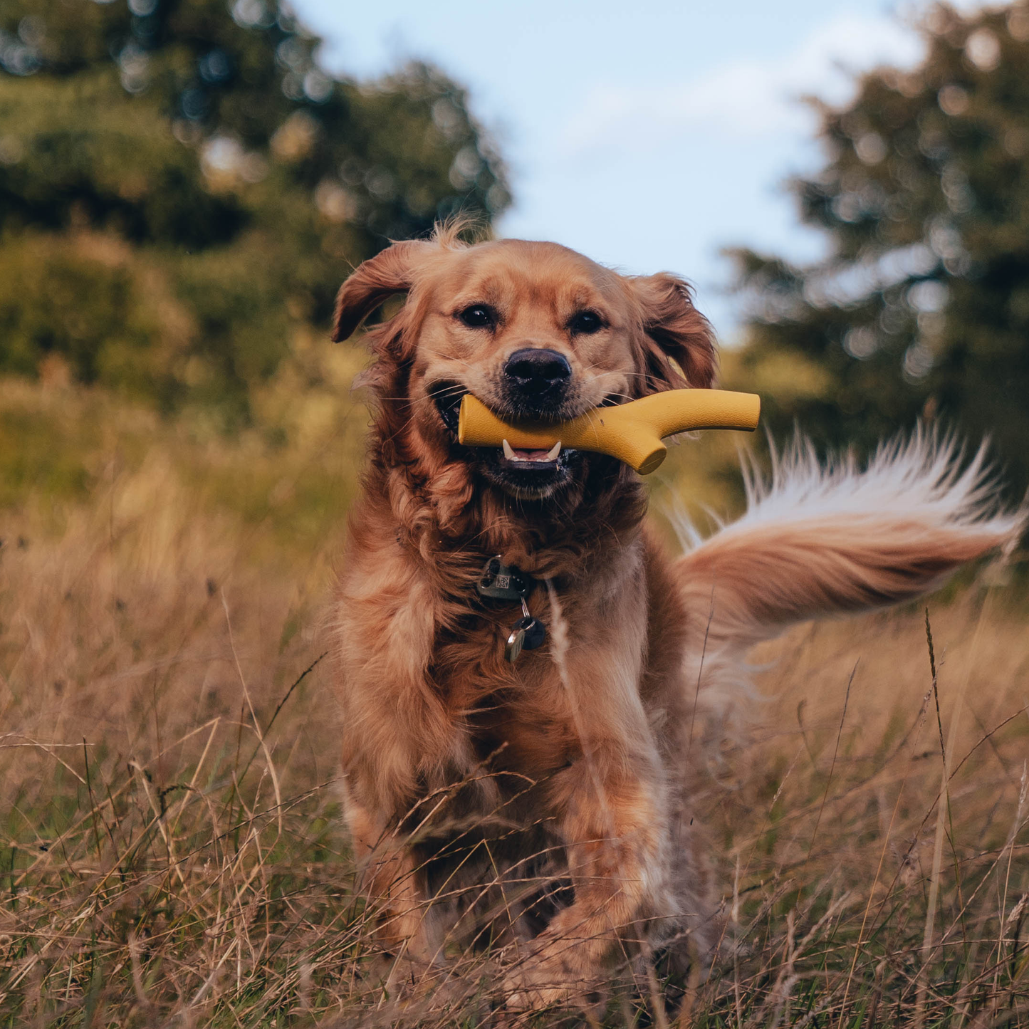 Beco Natural Rubber Super Stick Dog Toy