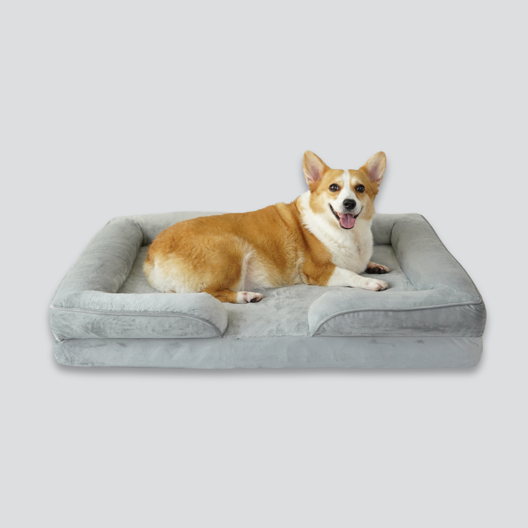 Willow Orthopaedic Dog Bed