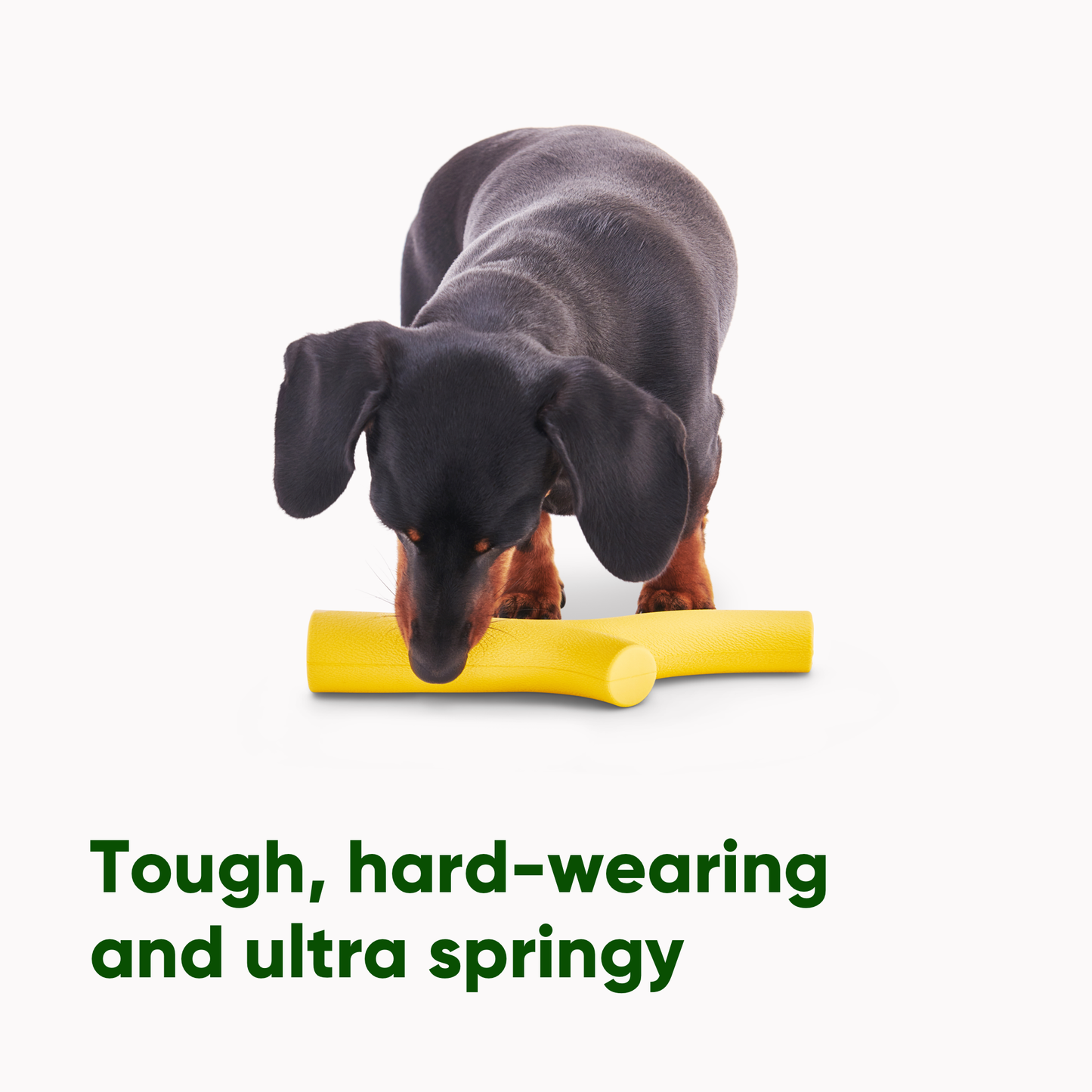 Beco Natural Rubber Super Stick Dog Toy