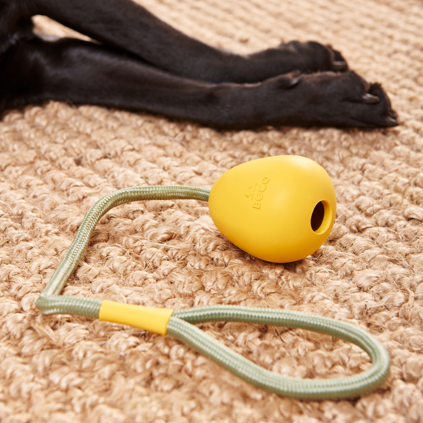 Beco Natural Rubber Slinger Pebble Toy