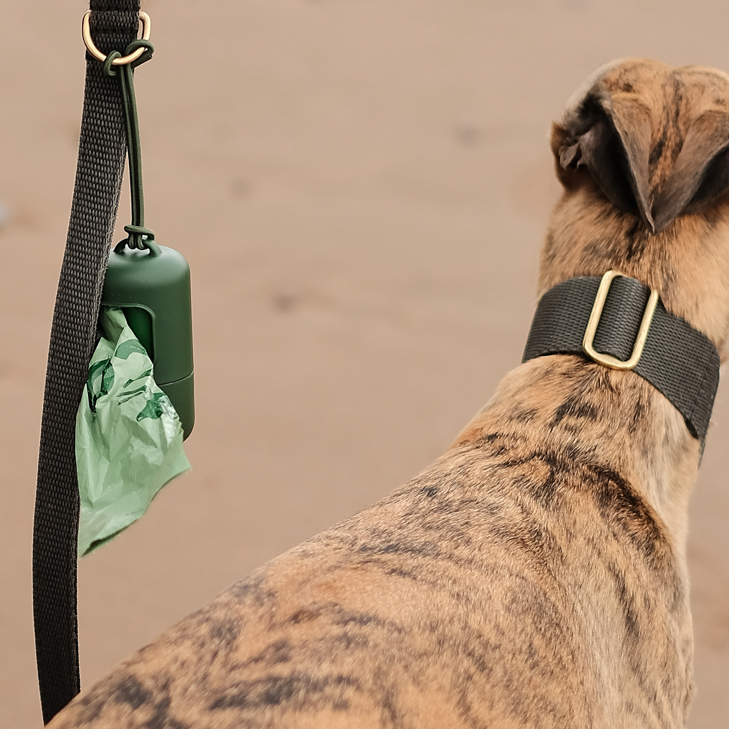 Beco Recycled Plastic Poop Bag Dispenser – Lightweight, Easy to Attach, Includes 15 Poop Bags