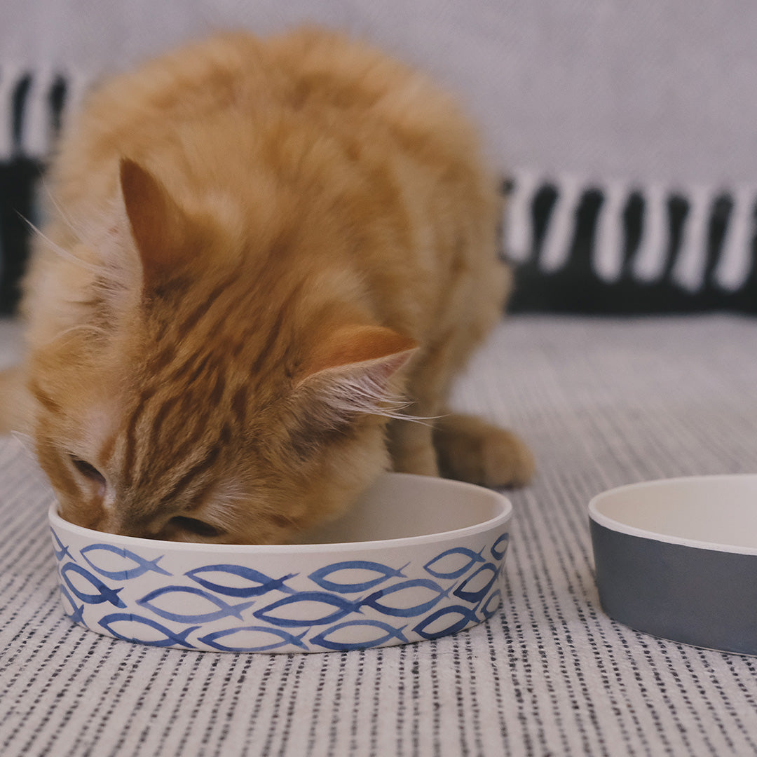 Beco Low-Rim Printed Bamboo Cat Bowl, Gone Fishing