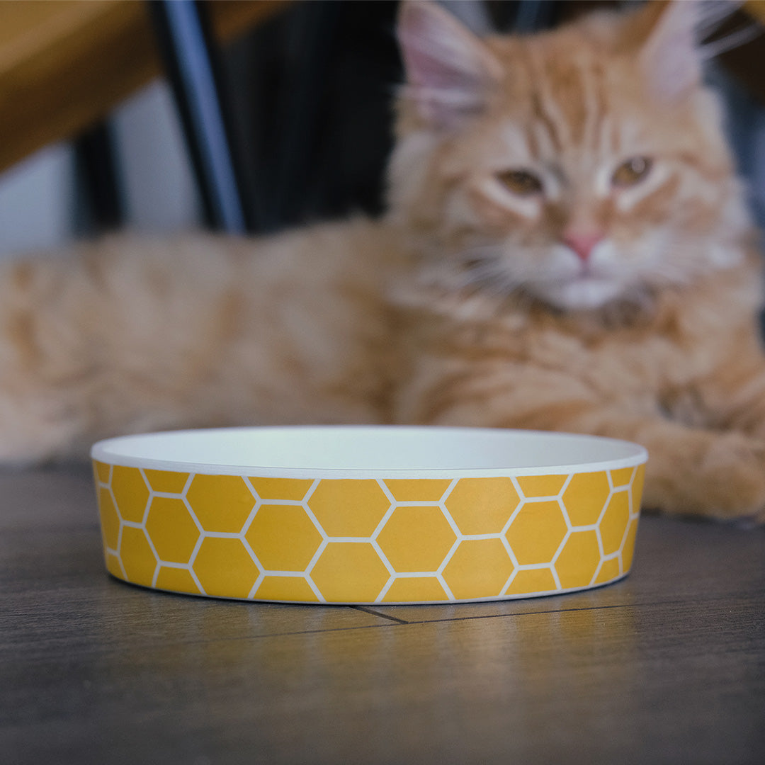 Beco Low-Rim Printed Bamboo Cat Bowl, Honeycomb