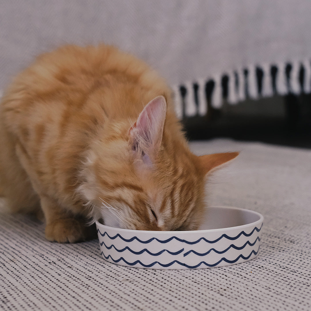 Beco Low-Rim Printed Bamboo Cat Bowl, Ocean Waves