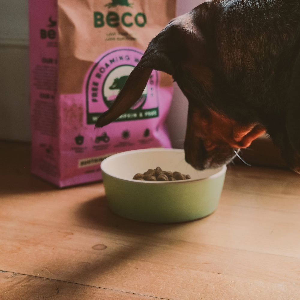 Beco Bamboo Pet Bowl, Fresh Mint