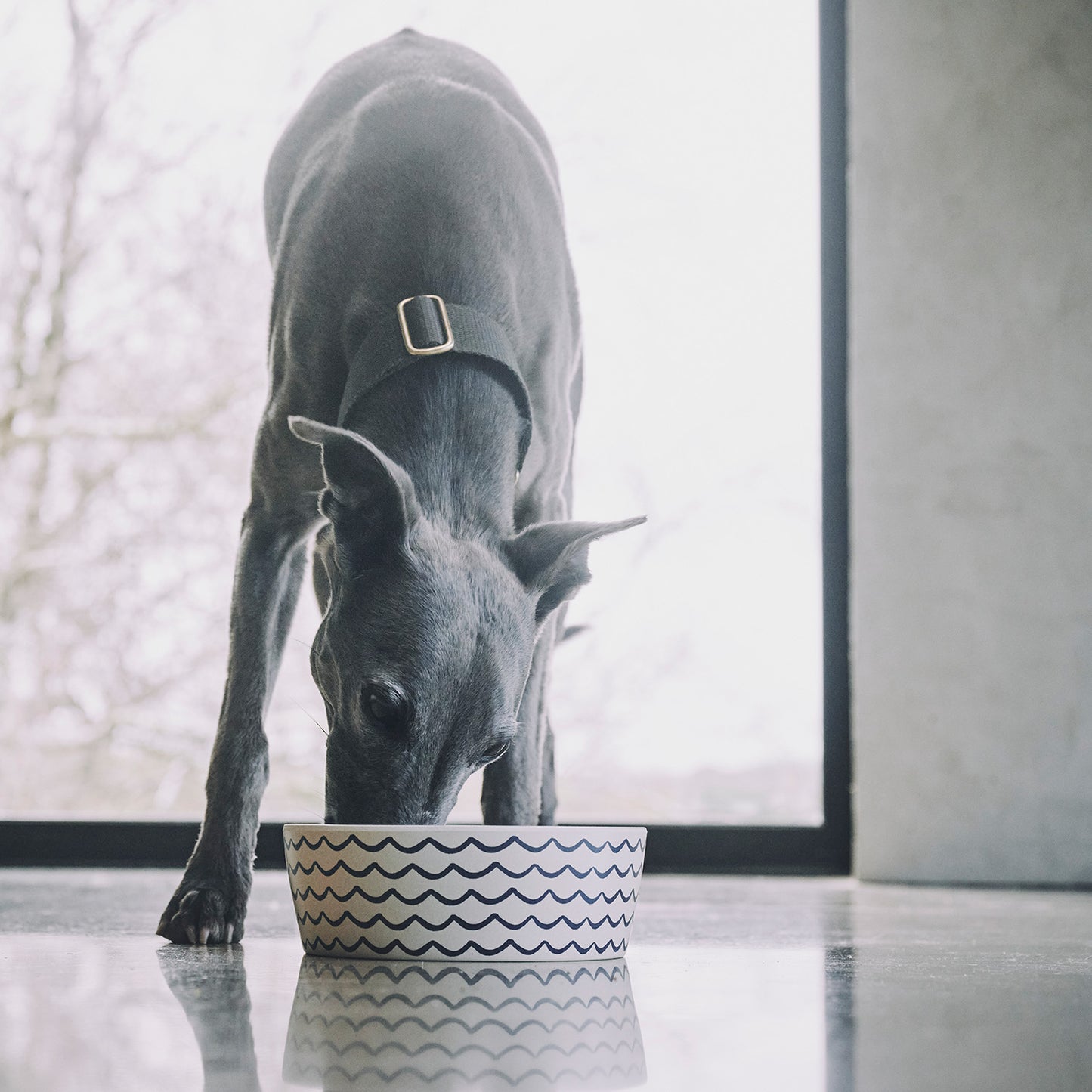 Beco Bamboo Pet Bowl, Ocean Waves