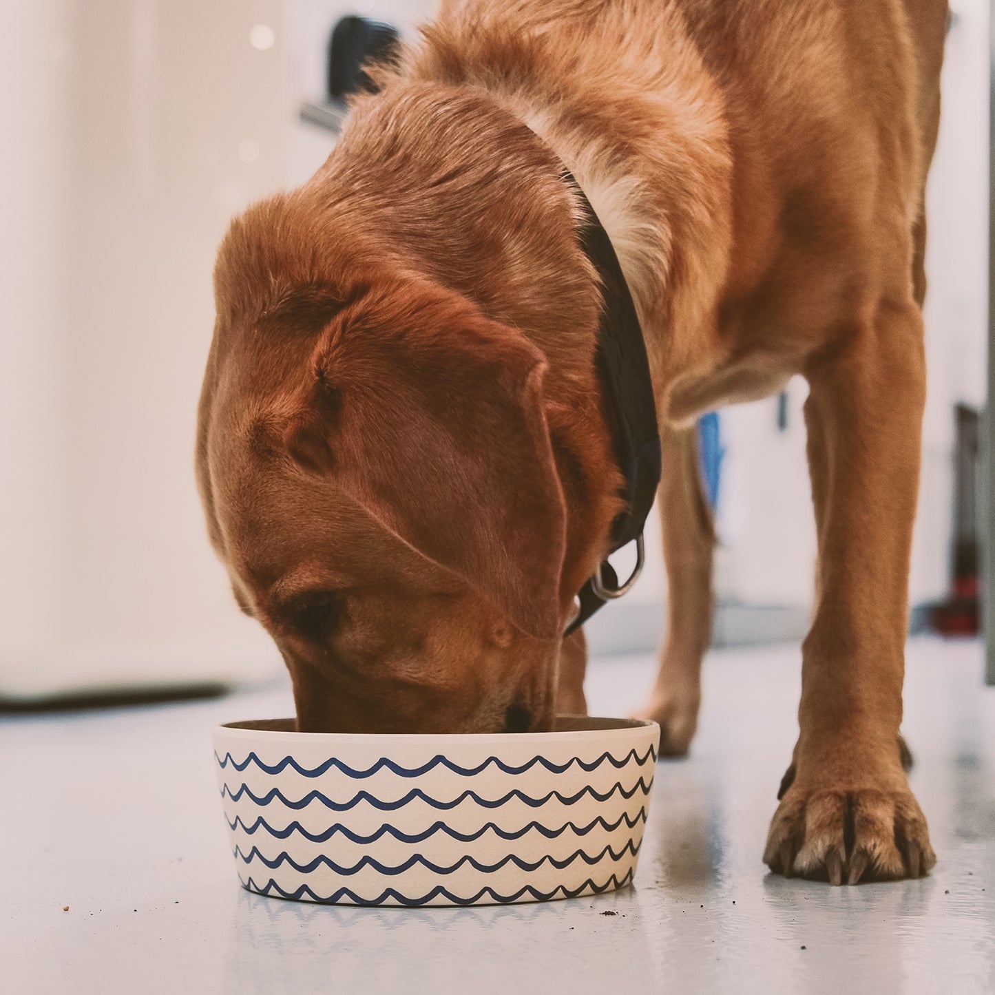 Beco Bamboo Pet Bowl, Ocean Waves