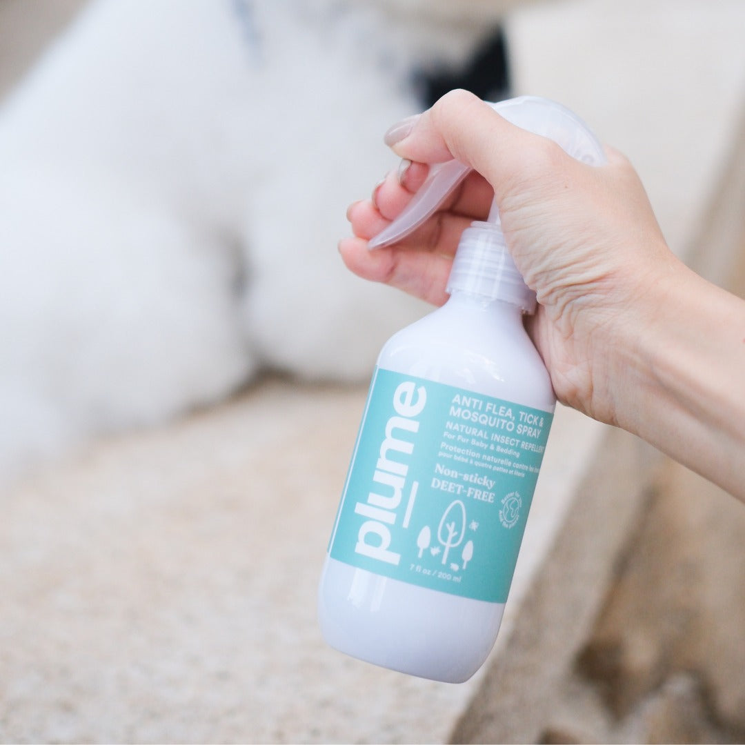 Plume Care Natural, Insect Repellent for Dogs - Non-Sticky & Deet-Free, Anti Flea Tick Mosquito