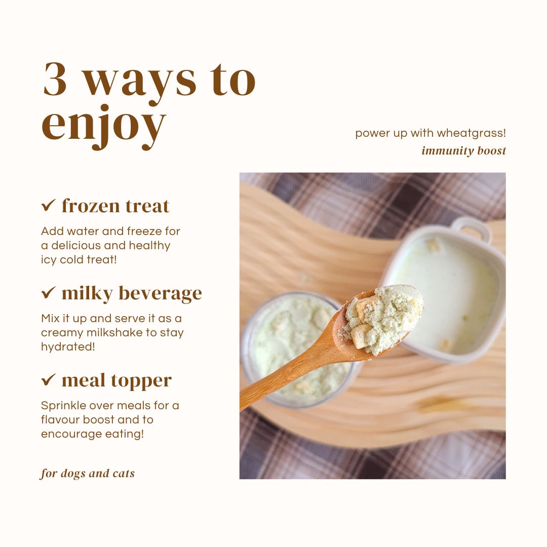 Wheatgrass Milkshake Magic Blend