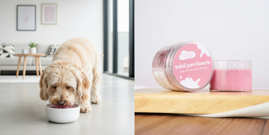 The "Pink Drink" Your Pet Can Actually Have (And It’s Healthy!)