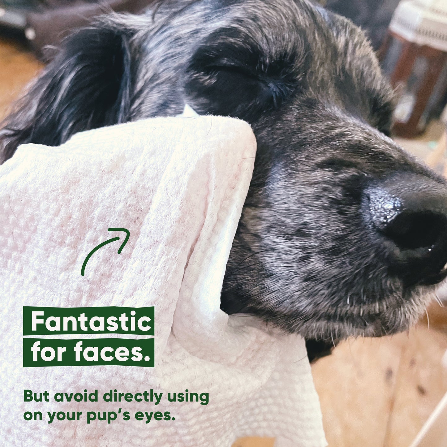 Beco Bamboo Dog Wipes, Unscented, 80 Pack