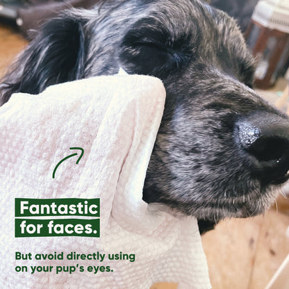 Beco Bamboo Dog Wipes, Unscented, 80 Pack