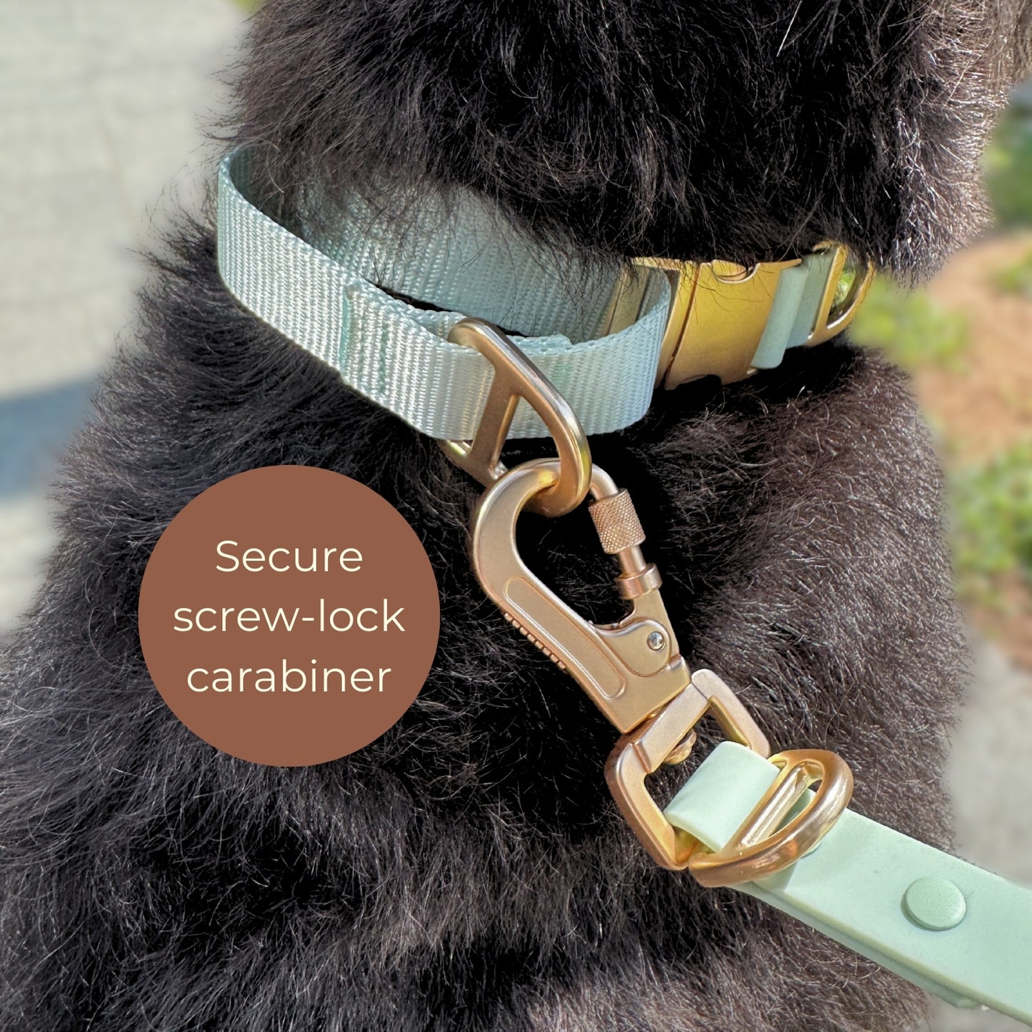 Komu Waterproof Hands-free Convertible & Adjustable Leash – Quick-Drying | All-Weather | Durable | Strong