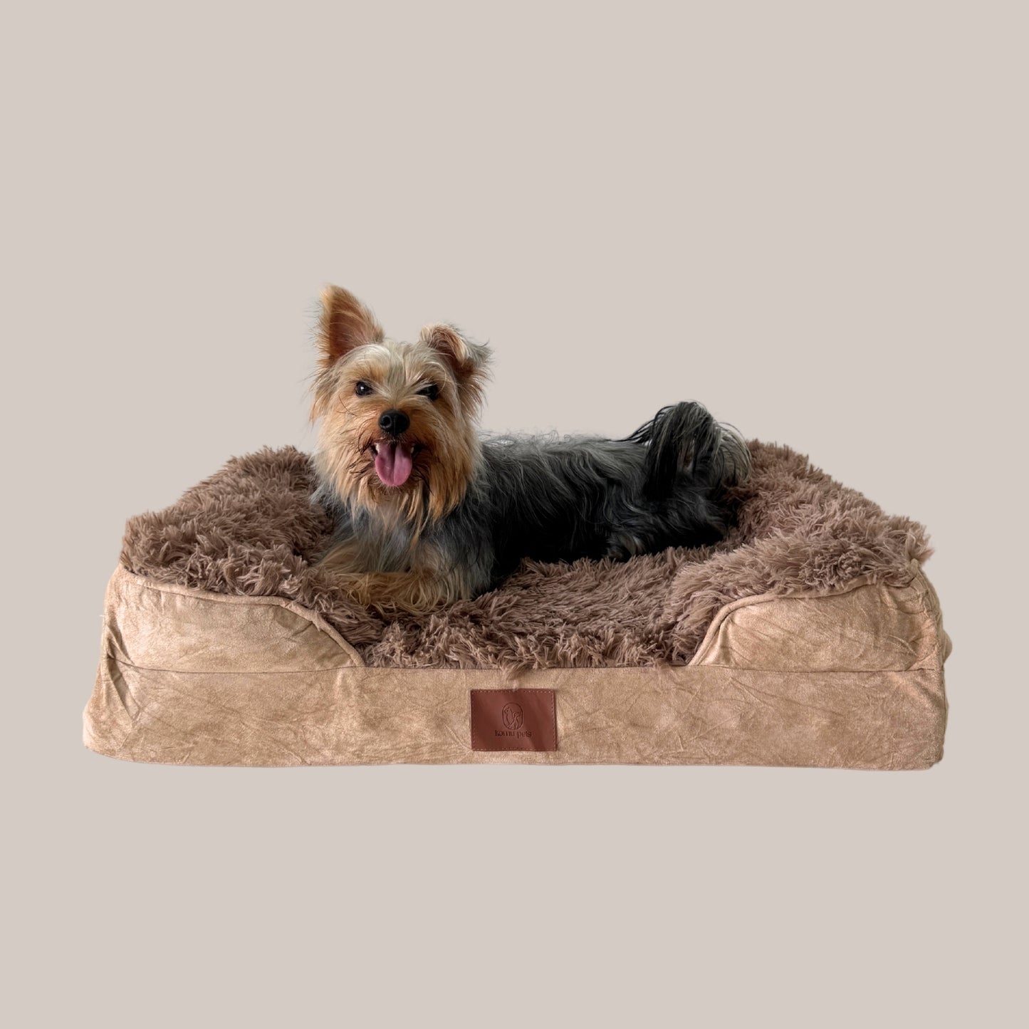 Pet Beds Extra Tough Dog Bed Indestructible Extra Large (XL) Chew
