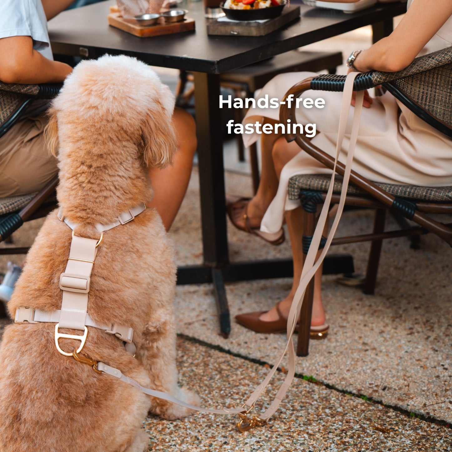 Komu Water-Resistant Hands-free Adjustable Leash & Connector – Quick-Drying | Durable | Strong | Convertible