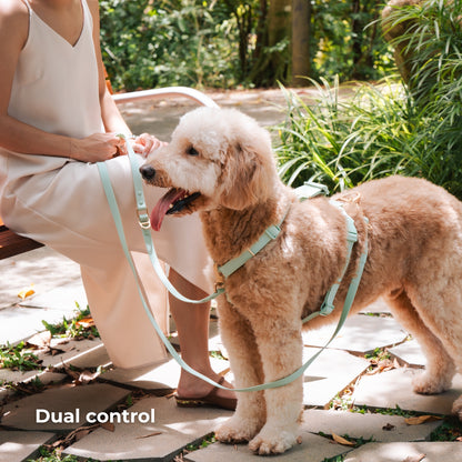 Komu Water-Resistant Hands-free Adjustable Leash & Connector – Quick-Drying | Durable | Strong | Convertible