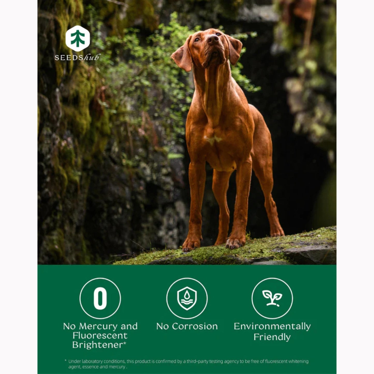 SEEDShub Pet Hair Dissolver - Powerful Pet Hair Remover & Odour Eliminator | For Washing Machines & Pet Supplies