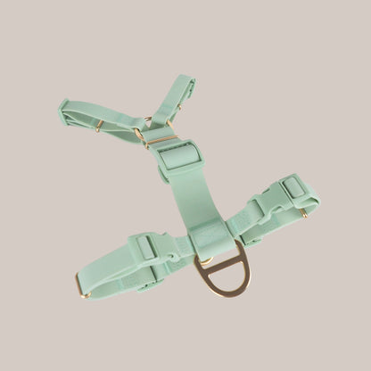 Komu Water-Resistant Harness – Quick-Drying | All-Weather | Durable | Strong