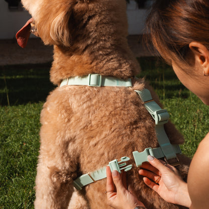 Komu Water-Resistant Harness – Quick-Drying | All-Weather | Durable | Strong