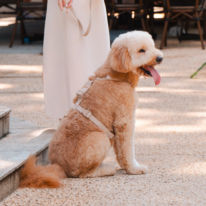 Komu Water-Resistant Harness – Quick-Drying | All-Weather | Durable | Strong