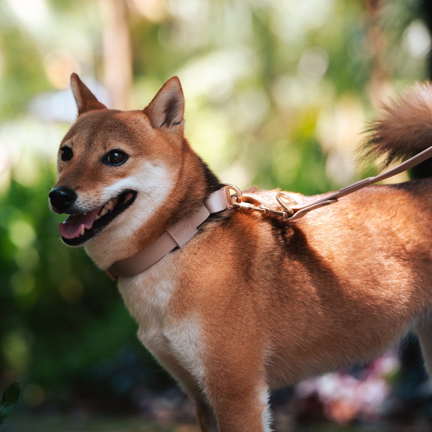 Komu Martingale Collar – Quick-Drying | Durable | Strong | Dog Training