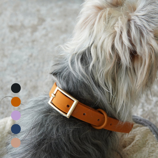 Lumo Waterproof Collar – Quick-drying | All-Weather | Durable | Strong