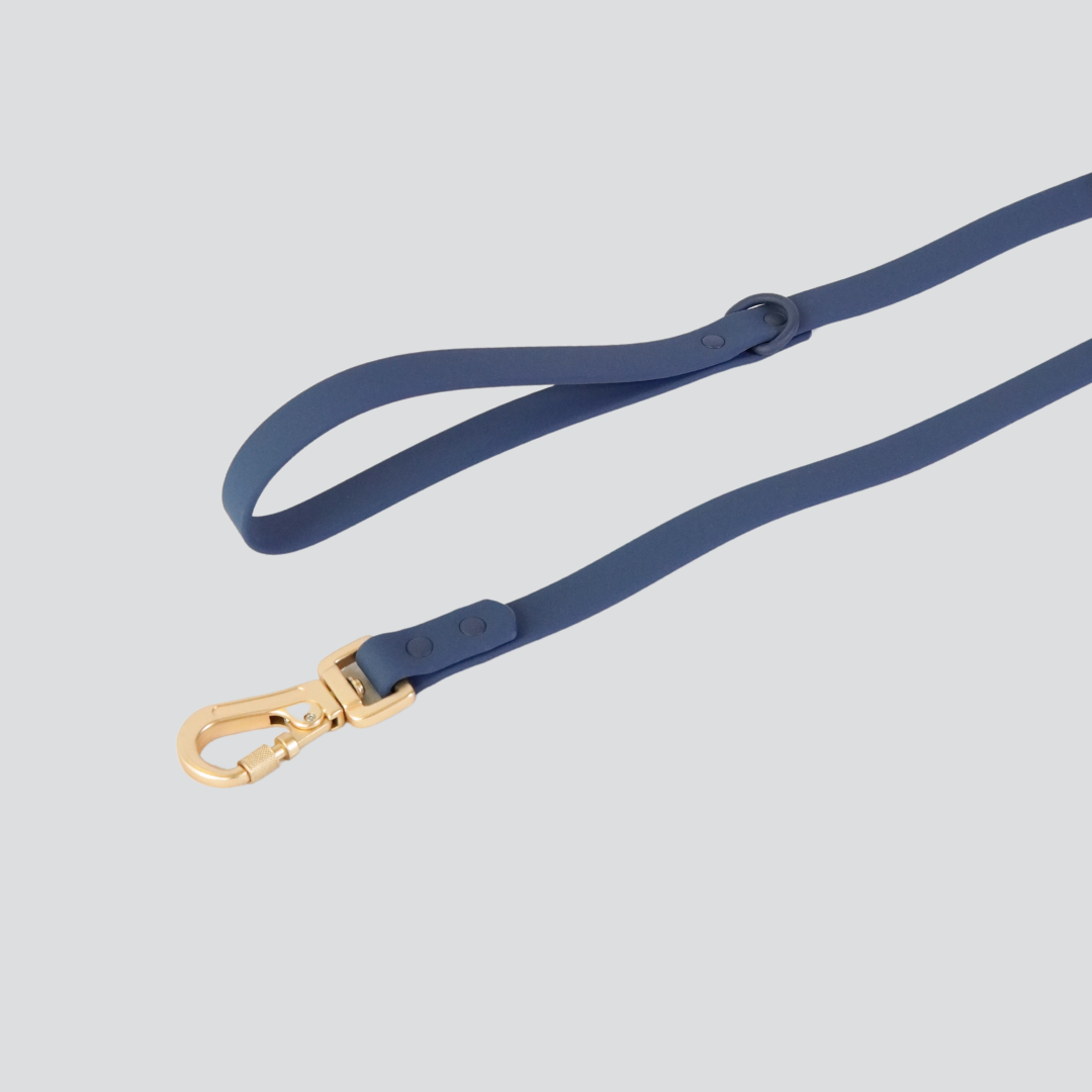 Lumo Waterproof Leash – Quick-drying | All-Weather | Durable | Strong