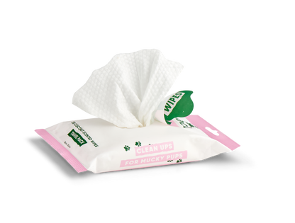 Beco Bamboo Travel Wipes, Coconut Scented – Soft & Compact, 20 Pack
