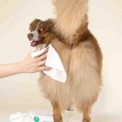 Gentle Cleansing Wet Wipes for Dogs & Cats - Sensitive Skin Approved