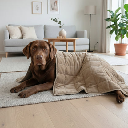 Aurea Weighted Anti-Anxiety Dog & Cat Blanket by Komu - Calming Relief | Reduces Stress | Thunder & Noises | Cooling Bamboo