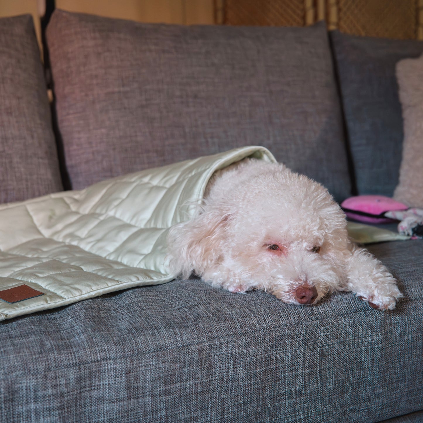 Aurea Weighted Calming Pet Blanket