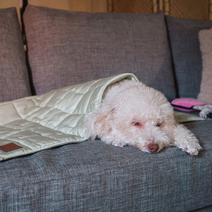 Aurea Weighted Calming Pet Blanket
