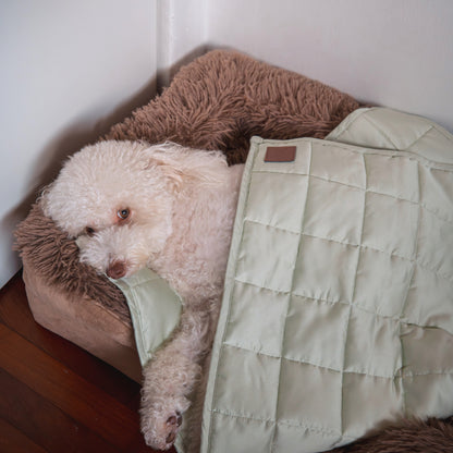 Aurea Weighted Calming Pet Blanket