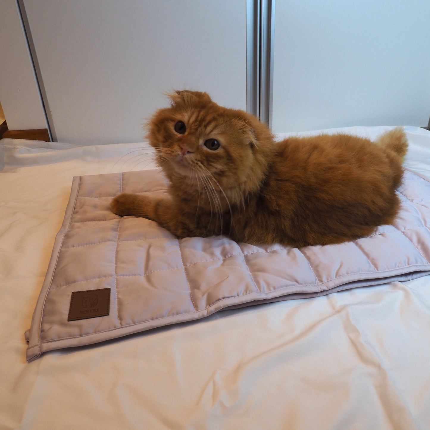 Yuen Bamboo Cooling Mat for Dogs and Cats by Komu – Naturally Breathable | Lightweight | Soft